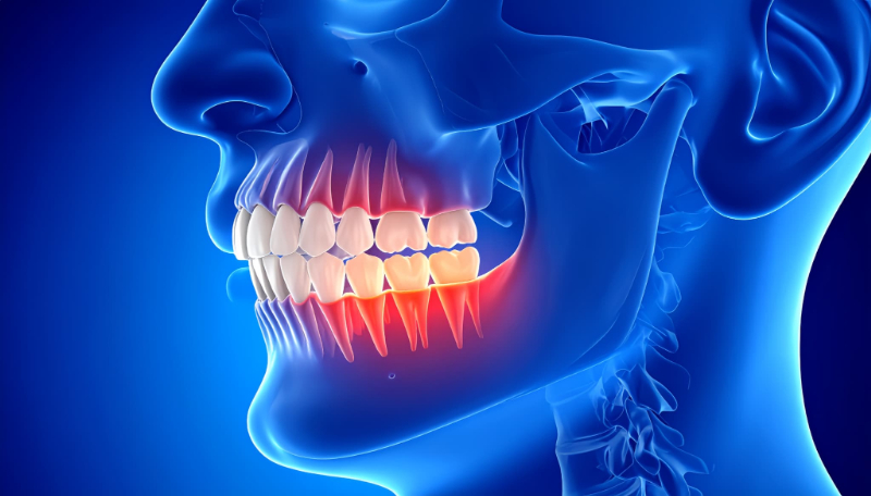 奥歯のイメージ