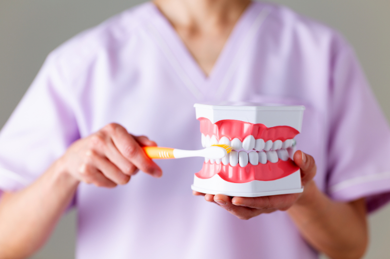 歯磨き指導をする歯科衛生士の手元