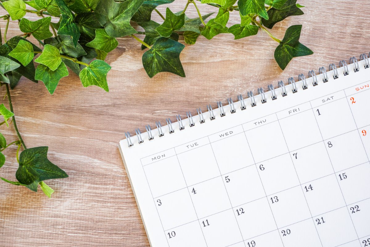 マウスピース矯正ですきっ歯を治す場合の期間